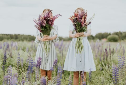 Artisan Aromatherapy & Natural Perfumery
