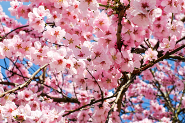 Your safety is our priority at all in person events