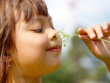 Girl Smelling Flower in Summertime