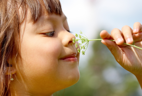 Girl Smelling Flower in Summertime